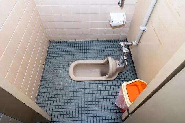 上厕所，坐着好还是蹲着好？最佳姿势竟然是……