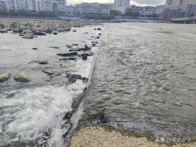 福鼎市区一日游：从白茶发源地到市井小吃赏唐风建筑品山海韵味