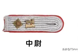 带你简单了解，二战德国陆军的军衔章图片