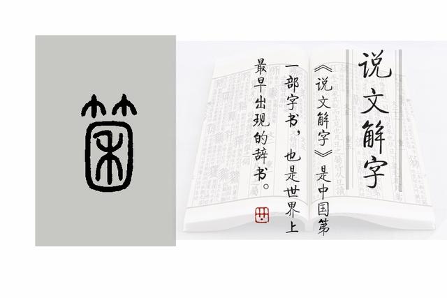 《说文解字》第932课：“箭竹”的几个别名