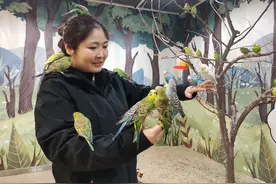 继撸猫撸狗之后 又兴起撸鸟 年轻人爱上“到店撸宠”图片