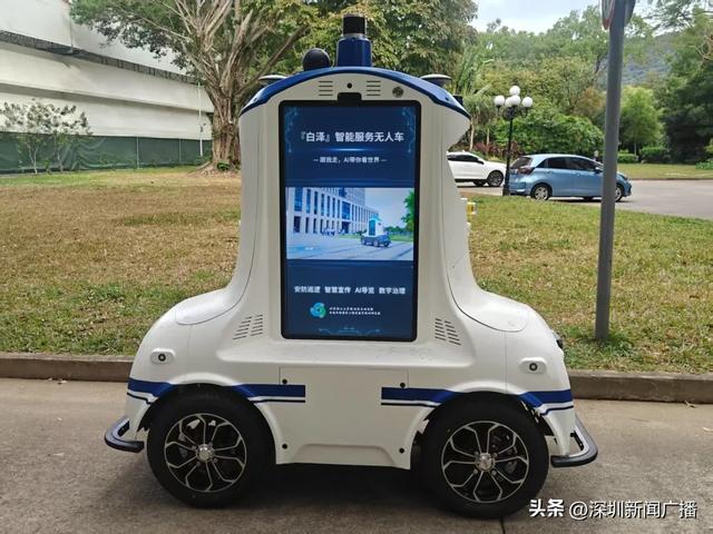 免费开放!持续21天!2025东湖公园菊花赏来啦~