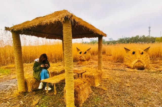 一场“叶舞+稻草”的双重奇遇！北京园博园秋游正当时——