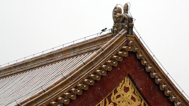 京城初雪拂过紫禁城的每一个角落 故宫红墙金瓦变身童话仙境