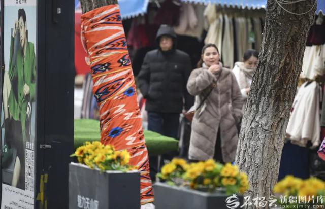 【天山 · 文旅】乌市西门老街焕新韵 烟火续繁华