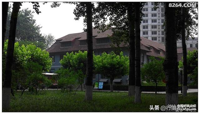 山东行游影记（14）—济南山东大学（一）