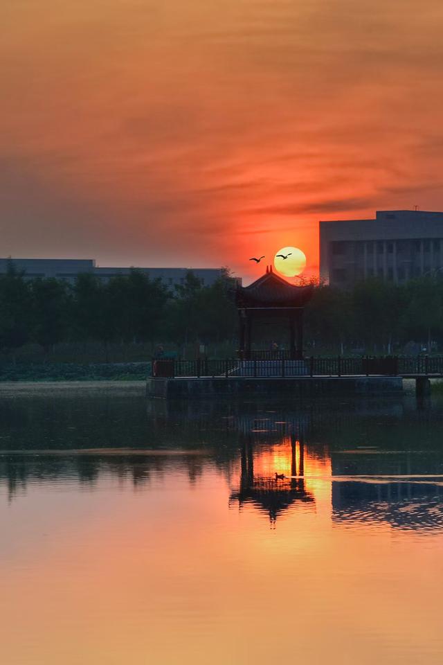 天门北湖的夏天之夜/兰月亮