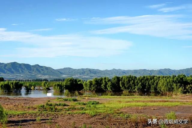 立秋洋河观鸟记