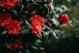 今后，我们都要学会打硬仗了图片
