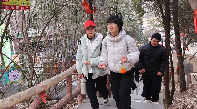 2026年南阳市新年登高活动在独山森林公园举行