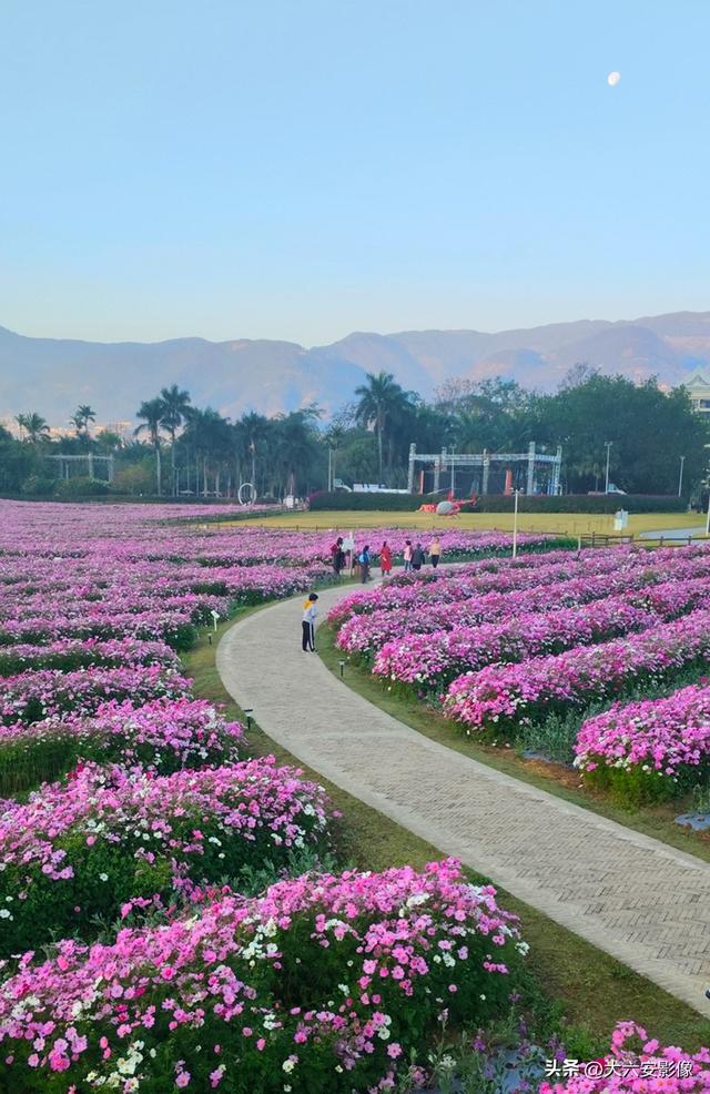 春光明媚 跟着摄影师镜头畅游美丽中国