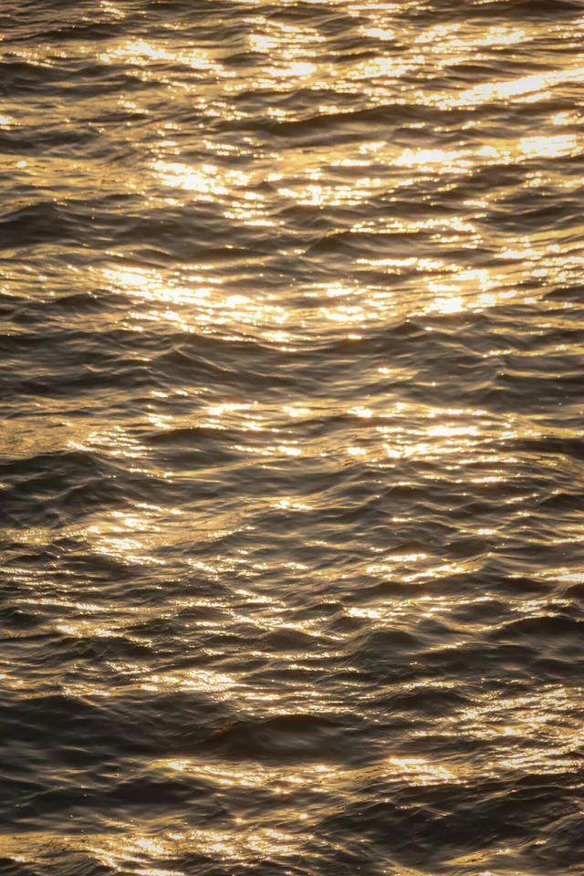 冬日暖阳里，来丰泽这儿享受惬意时光……