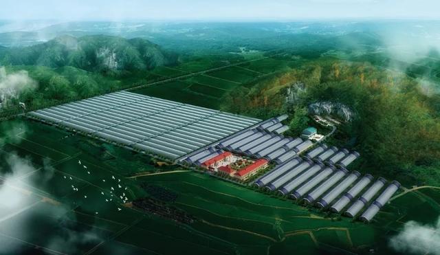 发现区县之美 | “鱼水情深，共赴哈尔滨阿城”：八一建军节专属拥军之旅