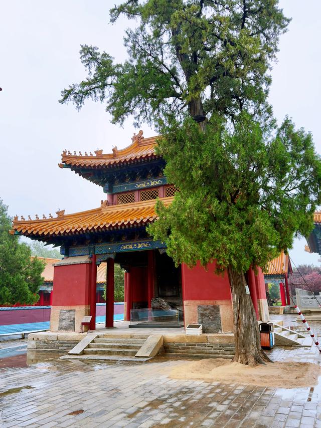 雨中西岳庙（渭南华阴市西岳庙）