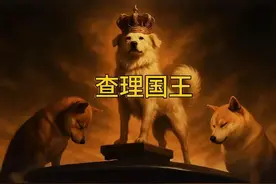 牧之野：为什么？一只来自河北的土狗，很快成了外网最火的焦点图片