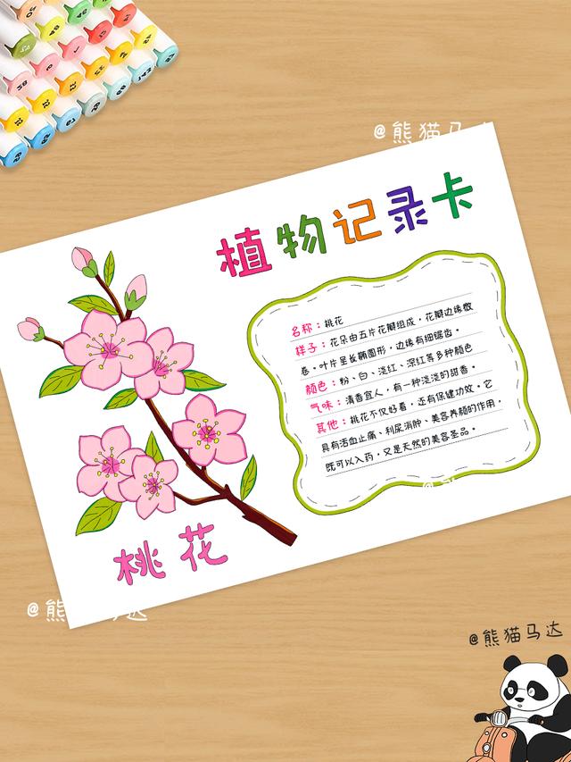 植物记录卡手抄报合集 01 💐