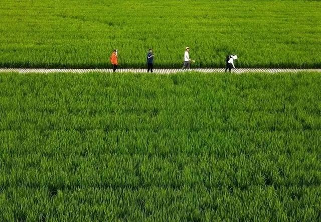 国庆短途游，西安周边精品路线全攻略！