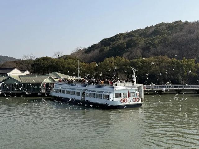 别人卷分数，无锡“卷”水质！太湖这份成绩单太硬核