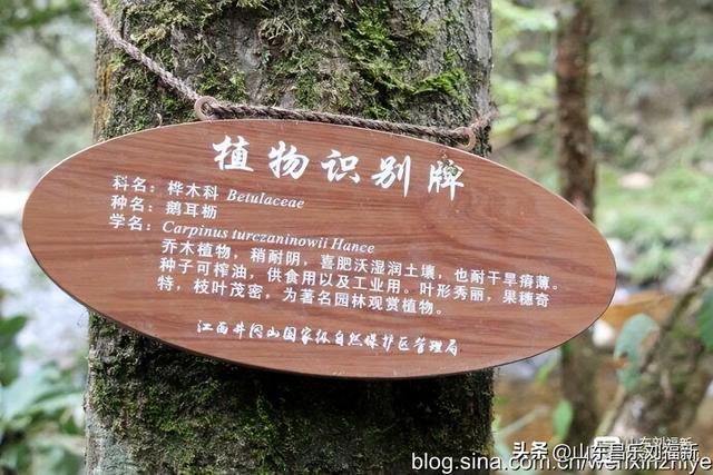 水口景区小记（江西之旅第八十八篇）