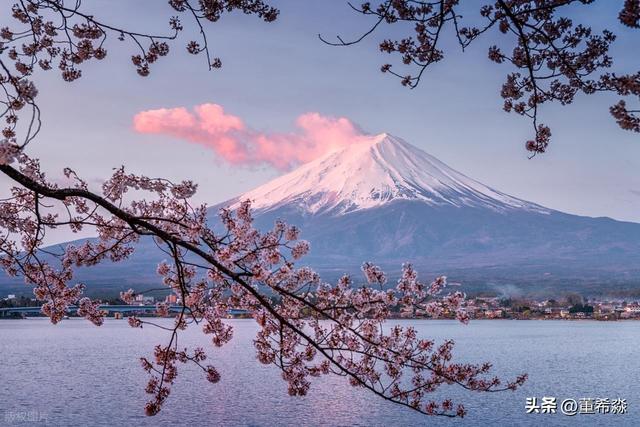 19年19座诺奖：日本“科学奇迹”背后的冷思考