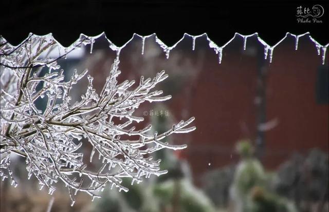 美如仙境！韶关这个地方迎来今年首场冰挂雾凇景观，秋冬来旅行，赏雪泡泉看红枫为你安排好了