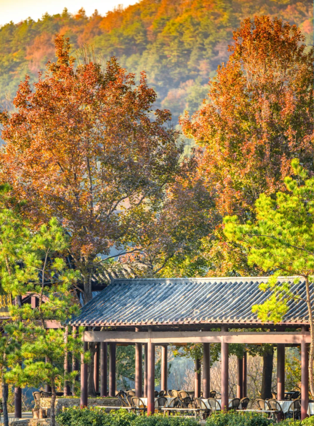 秋游黄陂 | 解锁清凉寨的N种玩法！