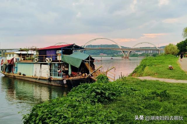 1h车程，带娃在这里挖到“宫崎骏同款夏天”！