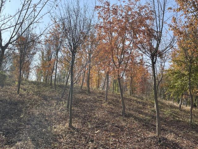 骑游仪征龙山森林公园、六合长江渔村