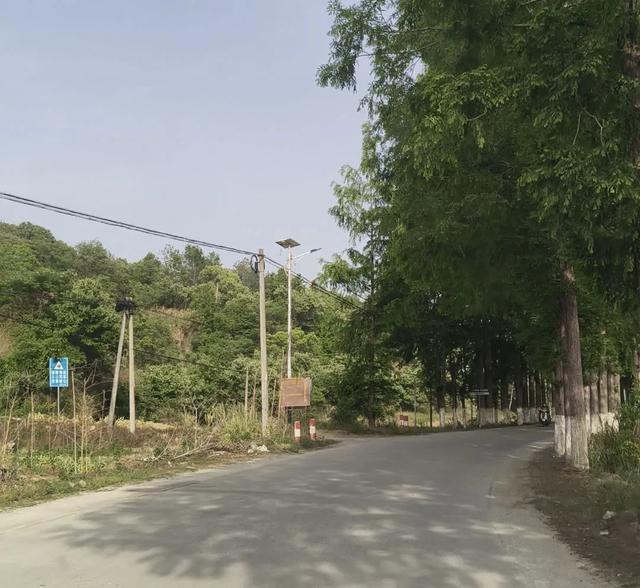 大别山老318国道,没落中的昔日辉煌与无尽回忆