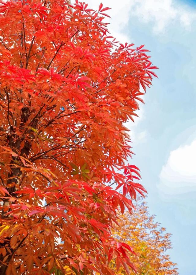 【多图预警！】这里不是5A景区，是鲁南制药！