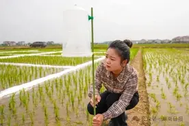 湖南唯一！新农人朱霞获中国青年五四奖章图片