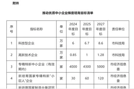 推动优质中小企业梯度培育改革，重庆出台方案→图片