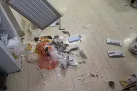 这4样东西最好别放冰箱，搞不好就“炸”，现在知道还不晚图片