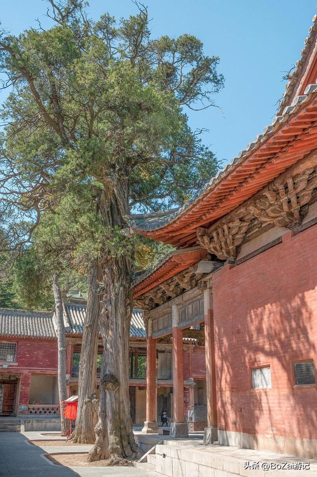 陵川西溪二仙庙：一庙藏尽太行春色，千年柏下听仙踪