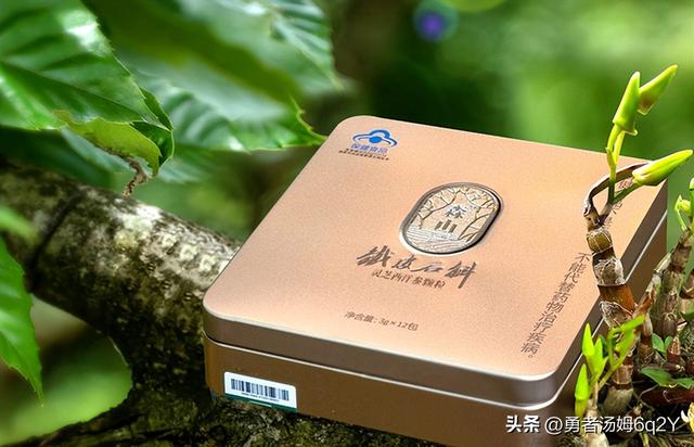 十大石斛排名 十大石斛排名图片