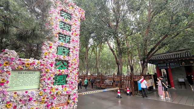 师恩如诗，秋日邀约丨沈阳东陵、北陵公园，期待与您漫步秋光