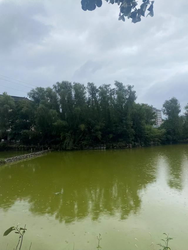 桃花庄园民宿，一场浸于山水与人文的深度栖居