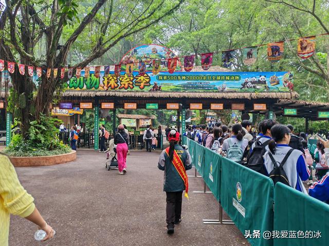 参观广州长隆野生动物园，全程感觉眼累手累腿不累