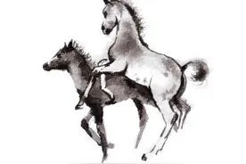 一月马乱明霞，二月马睡眼开，三月马深处藏，几月出生的马人好命图片