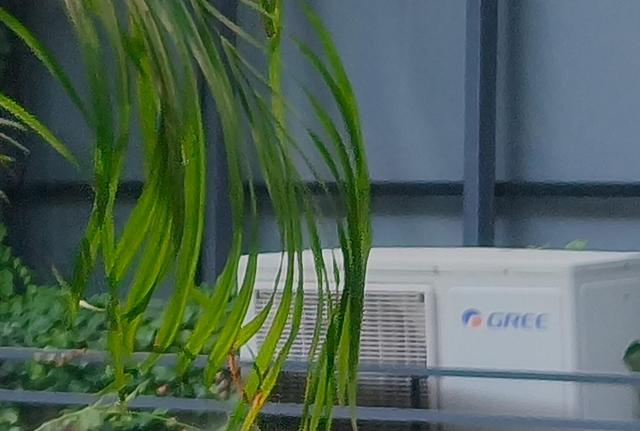 两千元也用上了真两亿像素！Reno 15这次够狠的