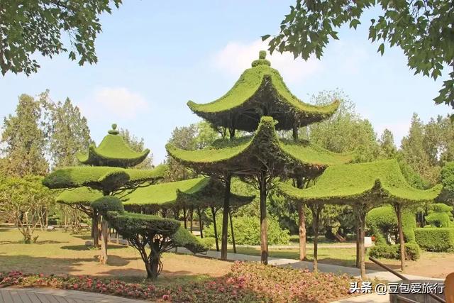 周口四天深度漫游：人文历史与舌尖盛宴的完美环线