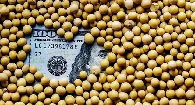 巴西大豆价格暴涨79.9%,中国买家按下暂停键,明年这笔钱还花这吗?