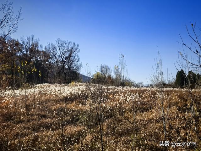 蓝田连导航都没有的路，我小半天竟然过了5个峪口！也是长本事了