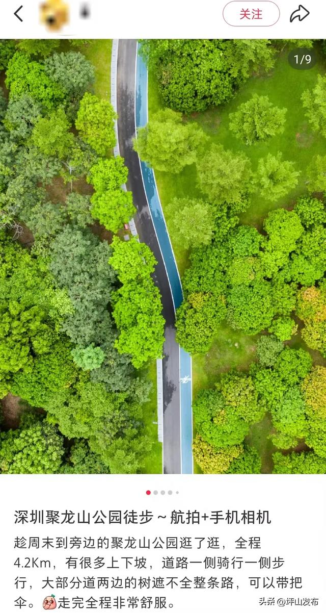 看完你的 看你的,坪山这片格桑花海承包你的秋日治愈感!