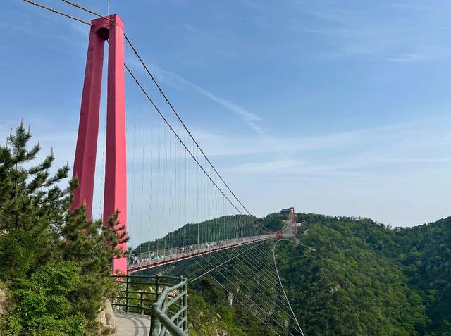 临沂,到底骗了多少人?居然拥有10个“世界第一”!