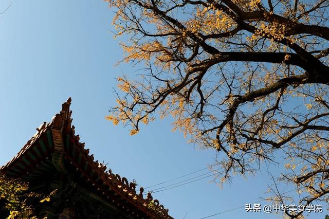 淌豆寺：怪怪的名字，孤傲的千年银杏