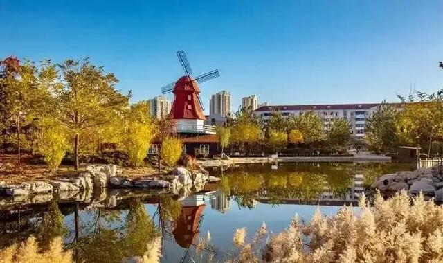 延安黑马子长宝塔延川未料今夺全国焦点！