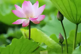 人生修炼的7层境界，看看你在哪一层图片