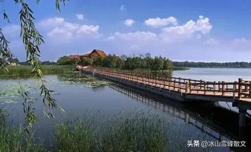 【随笔】与衡水湖对坐