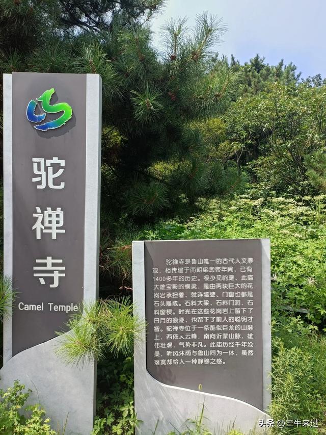 无为在歧路，避暑去鲁山